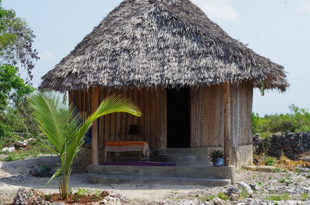 Kuza Cave Culture Centre Affittacamere Jambiani (Zanzibar)