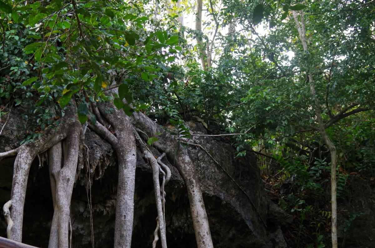 Kuza Cave Culture Centre 3* Jambiani (Zanzibar)