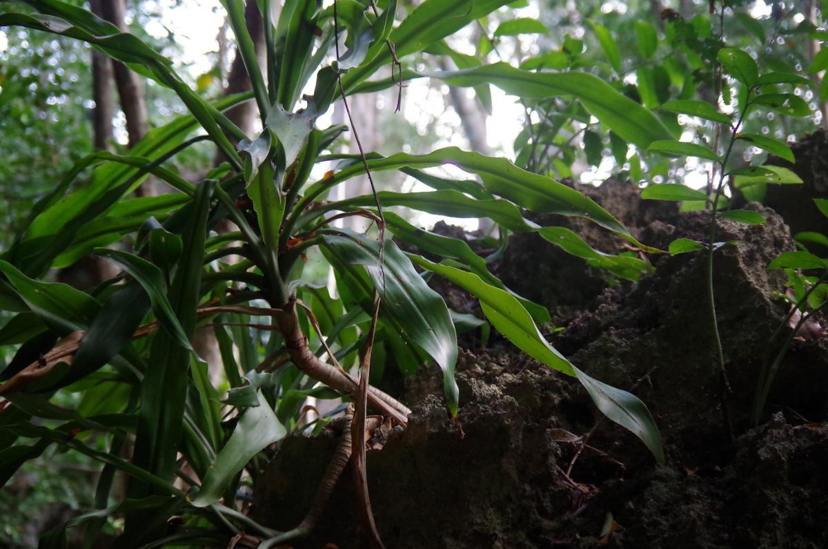 Kuza Cave Culture Centre 3*